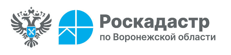 Роскадастр информирует.