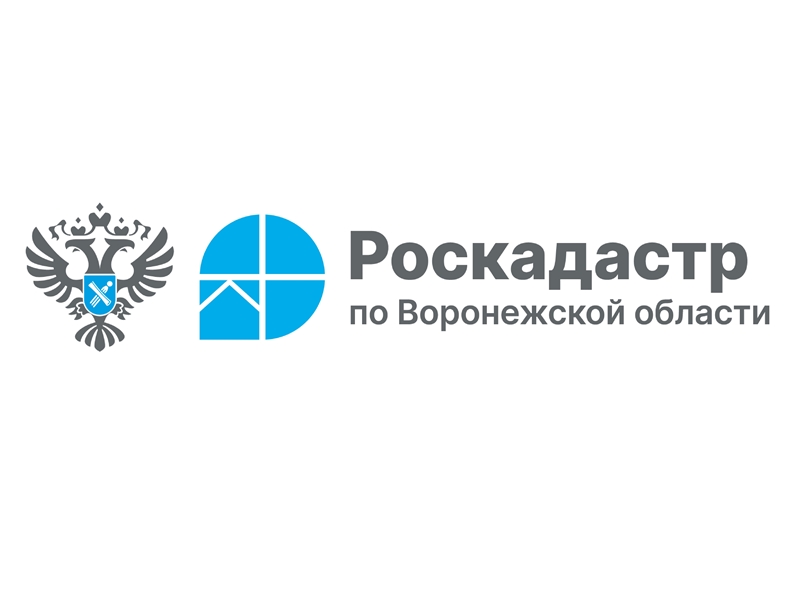 Воронежский Роскадастр подвел итоги 2024 года.